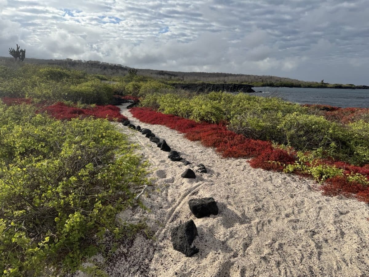 Floreana Island (day trip)