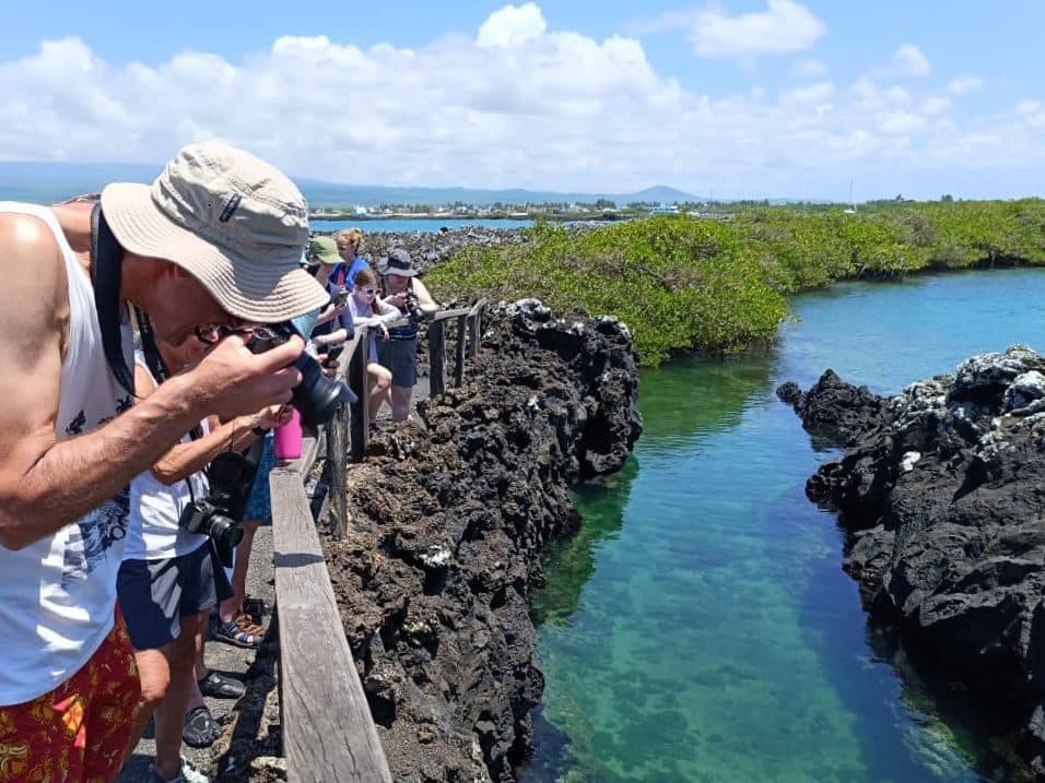 Isabela Island with Las Tintoreras Islet (day trip) 2/6