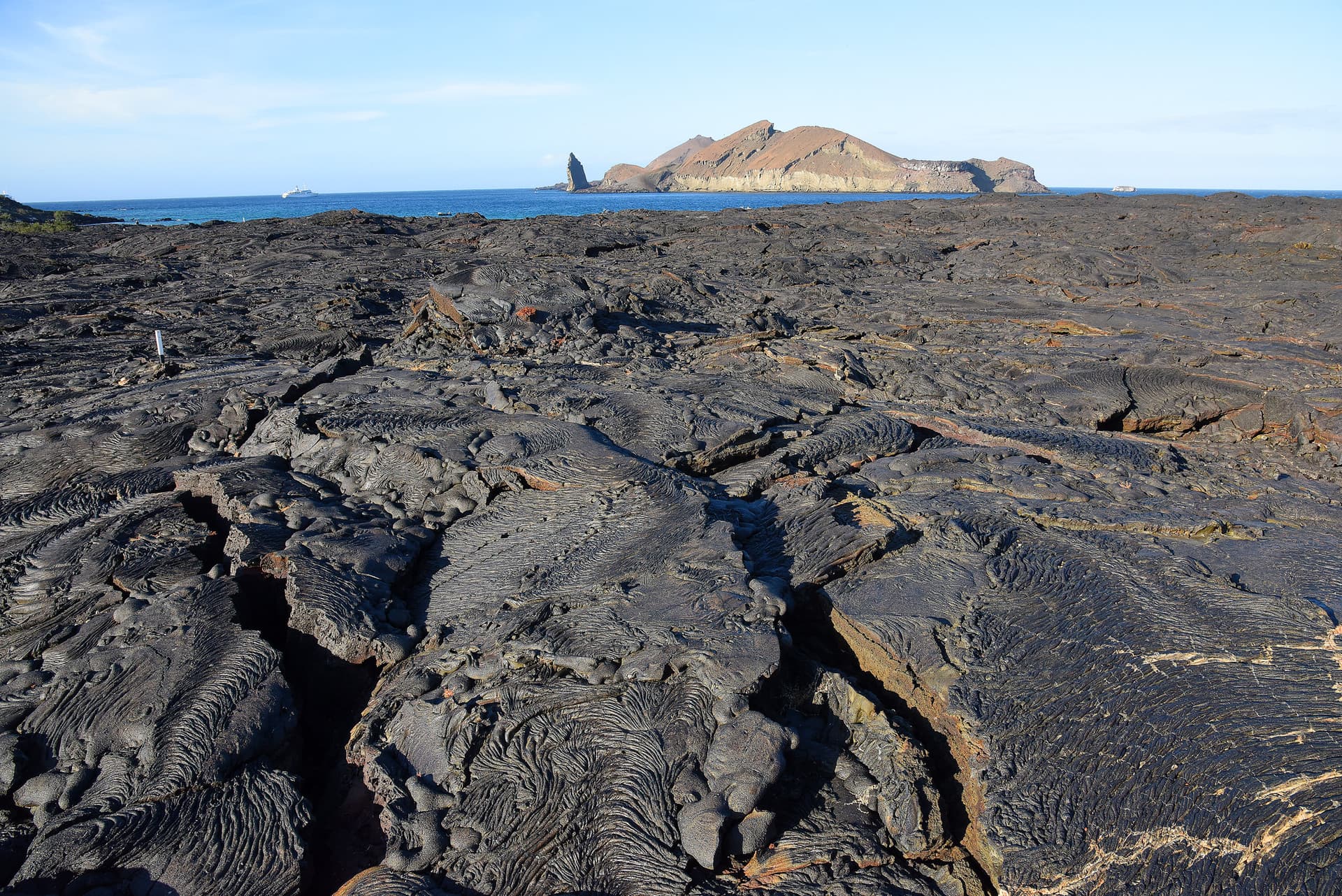 Galapagos Enchanted 11/24