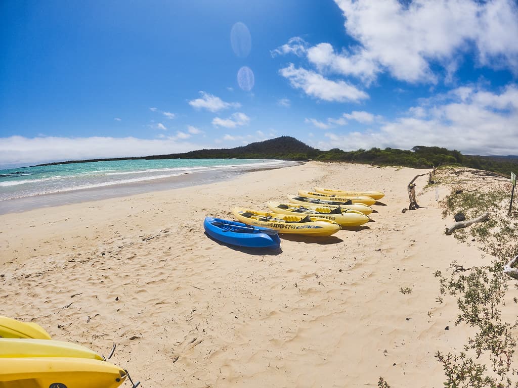 Galapagos Classic 19/21