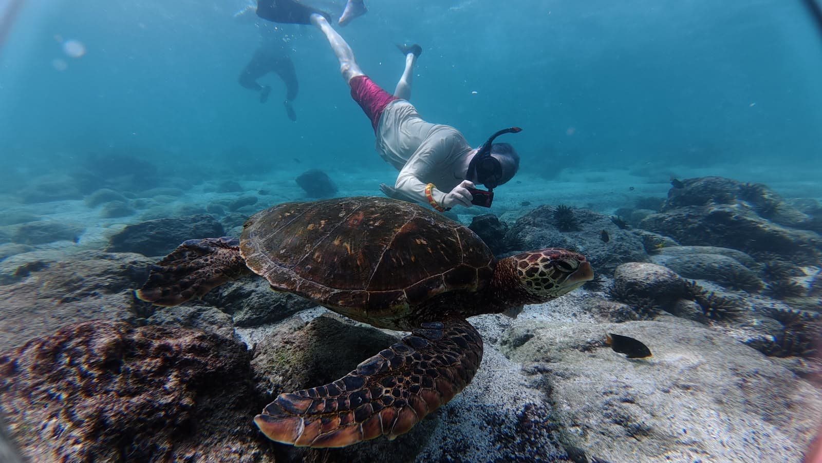 What Are the Cities of the Galápagos? The 4 Inhabited Ports of the Archipelago