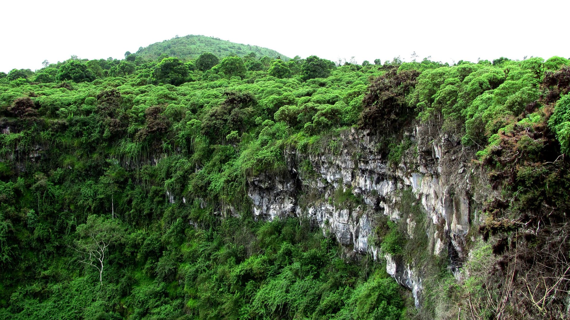 Baltra – Twin Craters – Primicias Ranch 2