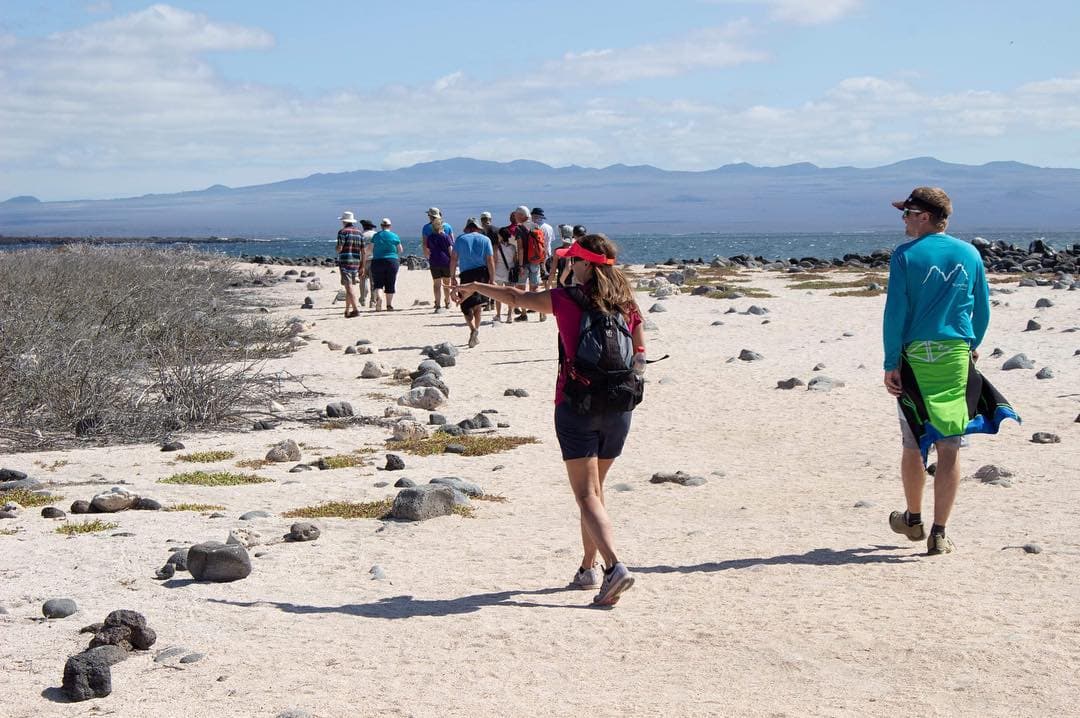 Wildlife and volcanic landscape of North Seymour Island in the Galapagos